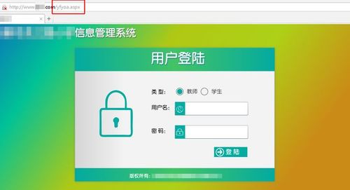 網站常見安全風險 — 暴露的cms